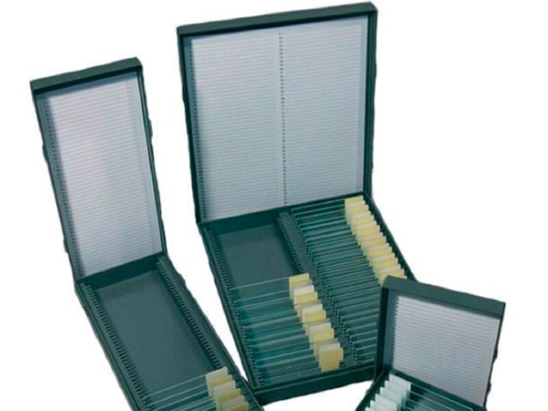 Бокс для зберігання предметних скелець, на 50 місць